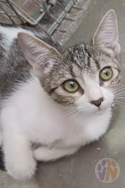 Cloe
