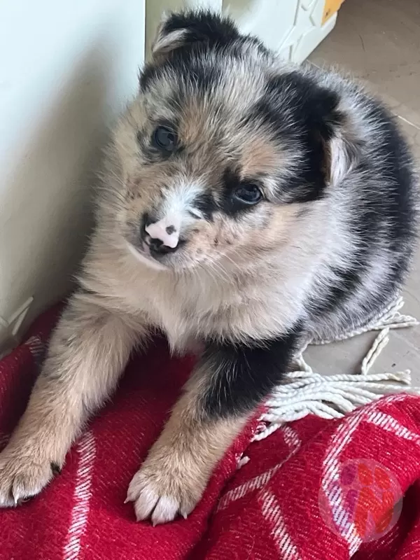 Winnie