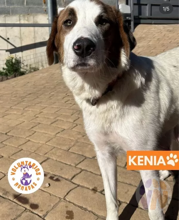 Kenia
